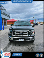 2016 Ford FORD in Deer Lake, Newfoundland and Labrador - 2 - w320h240px