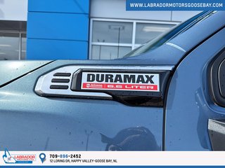 2024 GMC Sierra 2500 HD PRO in Goose Bay, Newfoundland and Labrador - 6 - w320h240px