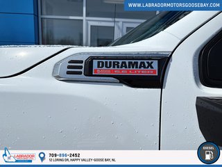 2025 GMC Sierra 2500 HD PRO in Goose Bay, Newfoundland and Labrador - 6 - w320h240px