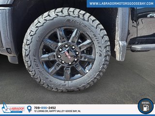 2025 GMC Sierra 2500 HD AT4 in Goose Bay, Newfoundland and Labrador - 6 - w320h240px