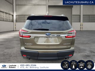 ASCENT Premier 2024 à Lachute, Québec - 3 - w320h240px