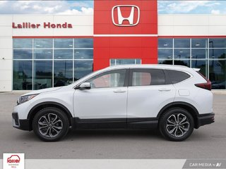 Honda CR-V EX-L | AWD 2021 à Gatineau, Québec - 3 - w320h240px