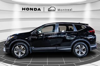 CR-V LX 2022 à , Québec - 4 - w320h240px