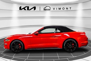 Ford Mustang ECOBOOST PREMIUM 2019 à , Québec - 5 - w320h240px