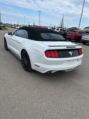 2015 Ford Mustang V6 in Lachenaie, Quebec - 2 - w320h240px
