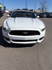 Ford Mustang EcoBoost Premium 2015 à Lachenaie, Québec - 5 - w320h240px