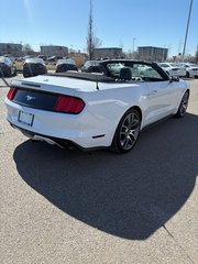 Ford Mustang EcoBoost Premium 2015 à Lachenaie, Québec - 4 - w320h240px