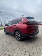 CR-V EX-L 1 PROPRIO JAMAIS ACCIDENTÉ 2022 à , Québec - 5 - w320h240px