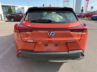 2019 Lexus UX 250h in , Quebec - 3 - w320h240px