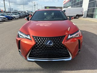 2019 Lexus UX 250h in , Quebec - 6 - w320h240px