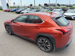 2019 Lexus UX 250h/AWD/JAMAIS ACCIDENTÉ in Lachenaie, Quebec - 3 - w320h240px