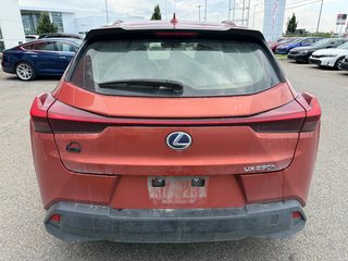 2019 Lexus UX 250h/AWD/JAMAIS ACCIDENTÉ in Lachenaie, Quebec - 4 - w320h240px