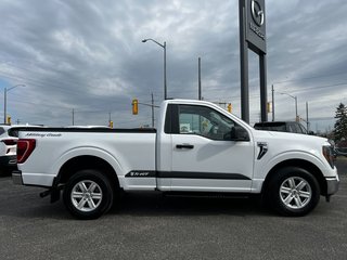 2023 Ford F-150 XLT - V8