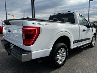 2023 Ford F-150 XLT - V8