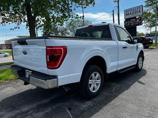 2023 Ford F-150 XLT - V8