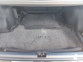 2025 Lexus IS in Sept-Îles, Quebec - 6 - w320h240px