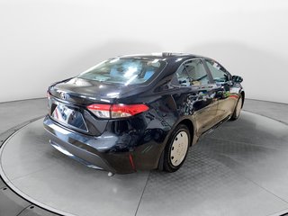2020 Toyota Corolla in Sept-Îles, Quebec - 4 - w320h240px