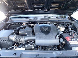 2020 Toyota Tacoma trd