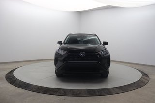 Toyota RAV4 LE 2021