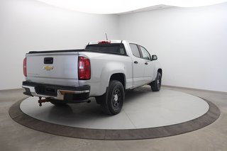 2019 Chevrolet Colorado 4WD Work Truck