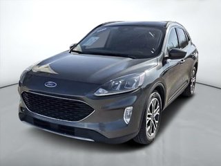 2020 Ford Escape SEL 1.5L Traction intégrale