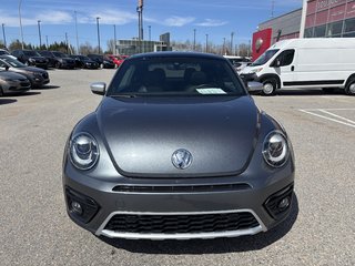 Volkswagen Beetle DUNE 2.0L Traction 2019