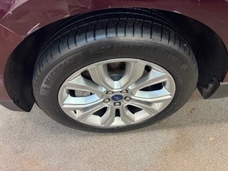 Ford Edge Titanium 2021 à L'Étang-du-Nord, Québec - 4 - w320h240px