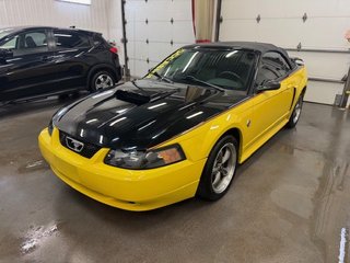 Ford Mustang GT 2004 à L'Étang-du-Nord, Québec - 5 - w320h240px