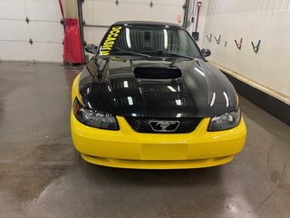 Ford Mustang GT 2004 à L'Étang-du-Nord, Québec - 4 - w320h240px