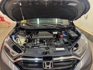 Honda CR-V LX 2021 à L'Étang-du-Nord, Québec - 2 - w320h240px