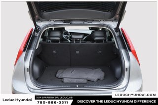 2024 Kia Niro EV Wave in Leduc, Alberta - 6 - w320h240px