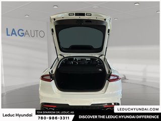 2019 Kia Stinger GT-Line in Leduc, Alberta - 6 - w320h240px