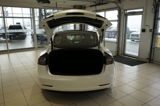 2023 Tesla MODEL 3 BASE in Leduc, Alberta - 5 - w320h240px