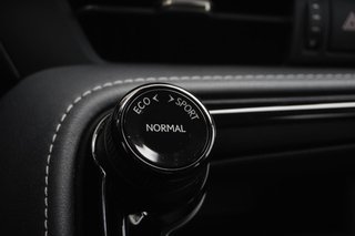 2024 Lexus NX 450h + ULTRA PREMIUM|H/V FRONT SEATS|MOONROOF|CARPLAY in Ajax, Ontario at Lexus of Lakeridge - 6 - w320h240px