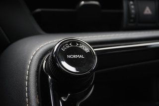 2024 Lexus NX 350 PREMIUM|MOONROOF|H/V FRONT SEATS|CARPLAY in Ajax, Ontario at Lexus of Lakeridge - 6 - w320h240px