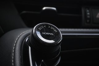 2025 Lexus NX 350 PREMIUM|MOONROOF|H/V FRONT SEATS|CARPLAY in Ajax, Ontario at Lexus of Lakeridge - 6 - w320h240px