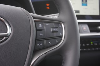 2025 Lexus UX 300h in Ajax, Ontario at Lakeridge Auto Gallery - 4 - w320h240px