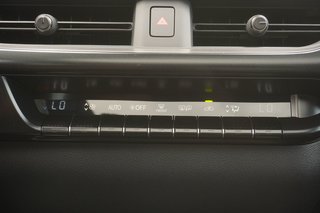 2025 Lexus UX 300h PREMIUM|CARPLAY|BLINDSPOT|H/V FRONT SEATS in Ajax, Ontario at Lexus of Lakeridge - 6 - w320h240px