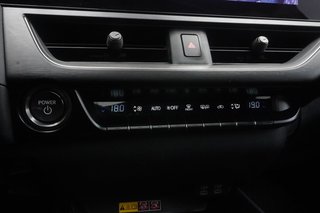 2024 Lexus UX 250h AWD LUXURY|CARPLAY|MOONROOF|H/V FRONT SEATS in Ajax, Ontario at Lexus of Lakeridge - 5 - w320h240px