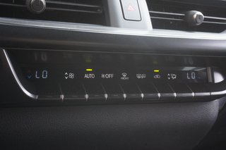 2026 Lexus UX 300h PREMIUM|CARPLAY|BLINDSPOT|H/STEERING|MOONROOF in Ajax, Ontario at Lexus of Lakeridge - 5 - w320h240px