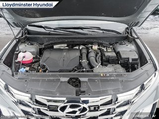 2024 Hyundai Santa Cruz Ultimate in Lloydminster, Saskatchewan - 6 - w320h240px