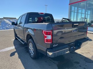 2019  F-150 in Lloydminster, Saskatchewan - 3 - w320h240px