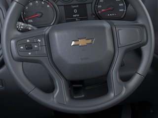 Chevrolet SILVERADO 2500 HD  2024 à Saint-Hyacinthe, Québec - 19 - w320h240px