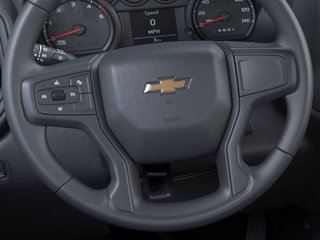 2025 Chevrolet SILVERADO 2500 HD in Saint-Hyacinthe, Quebec - 19 - w320h240px
