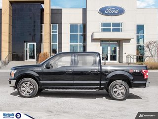 2018  F-150 XLT in Whitby, Ontario - 3 - w320h240px