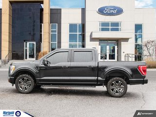2022  F-150 XLT in Whitby, Ontario - 3 - w320h240px