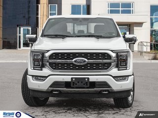 2023  F-150 Platinum in Whitby, Ontario - 2 - w320h240px