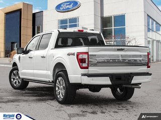 2023  F-150 Platinum in Whitby, Ontario - 4 - w320h240px
