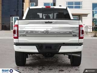 2023  F-150 Platinum in Whitby, Ontario - 5 - w320h240px