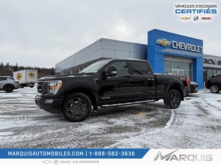Ford F-150  2023 à Matane, Québec - 2 - w320h240px